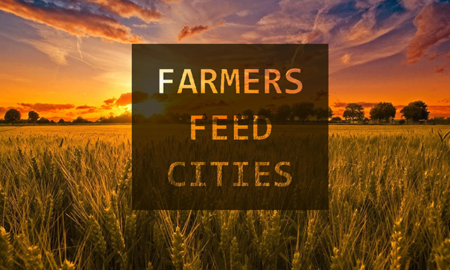 Farmers feed cities